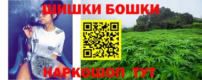 стаф Камень-на-Оби