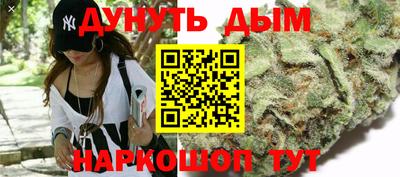стаф Камень-на-Оби
