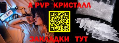 стаф Камень-на-Оби