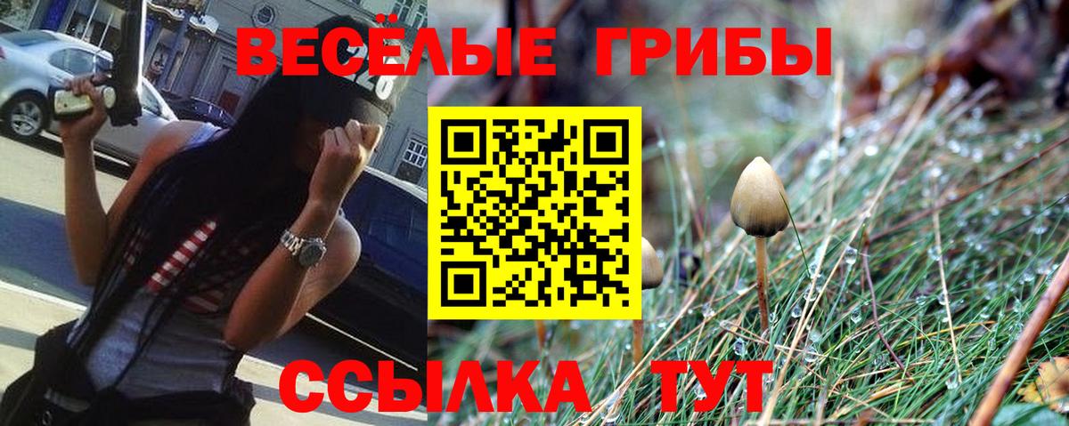 Канабис  Бошки Шишки  Вход с VPN  Губкинский  МЕФ   A-PVP СОЛЬ   Наркошоп  COCAIN 
